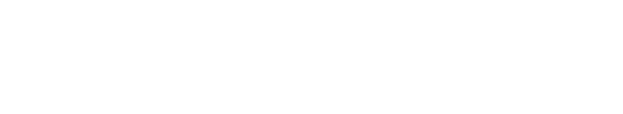 Reicheneder Logo weiß